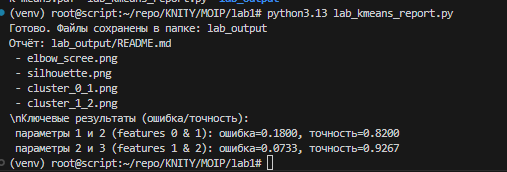 Интерфейс запуска