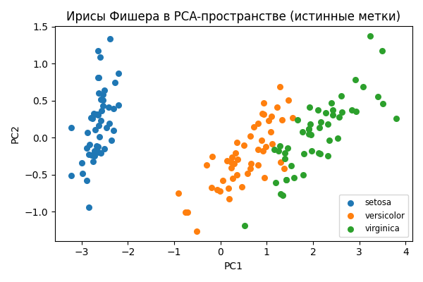 Истинные метки в PCA-пространстве
